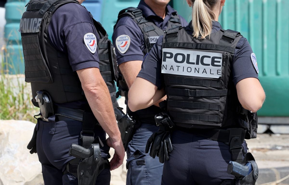 Seine-et-Marne : La police tue un homme retranché chez lui et armé d'un hachoir
