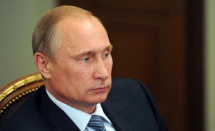 Le président russe Vladimir Poutine près de Moscou, le 29 juillet 2014
