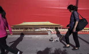 Une femme promène son chien à Pékin en avril 2017.