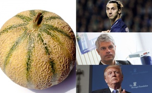 Un melon parmi d'autres.