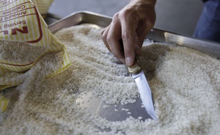Le riz chinois continue d'alimenter des fantasmes sur le web.