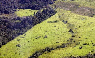 Vue aérienne de 2005 illustrant la déforestation en Amazonie, dans le nord du Brésil