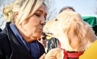 Marine Le Pen sur un marché, le 8 février 2020, à Saint-André-de-Cubzac.