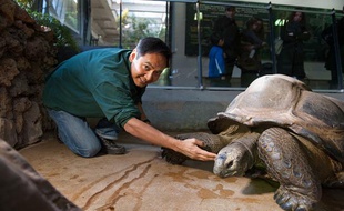 Norin Chai, vétérinaire et directeur adjoint de la Ménagerie du Muséum national d'histoire naturelle à Paris, le 10 mars 2011.