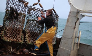 Un pêcheur sur un chalutier, le 18 décembre 2014 au large des côtes françaises