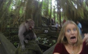 Un singe vient gâcher le selfie de cette jeune fille