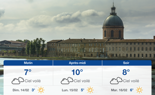Météo Toulouse: Prévisions du samedi 13 février 2021