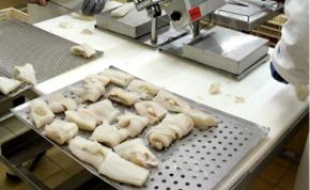 L'agro-alimentaire porte le marché.