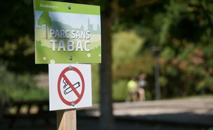 52 jardins et parcs vont bientôt être interdits aux fumeurs (photo d'illustration prise à Strasbourg).