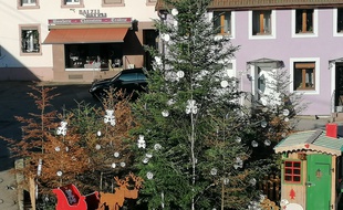 La décoration sur la placette en face de la mairie de Lutzelhouse. Avec les sapins et épicéas morts à gauche.