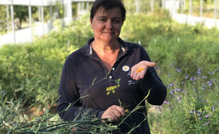 Pauline Dominicy à Coëx.