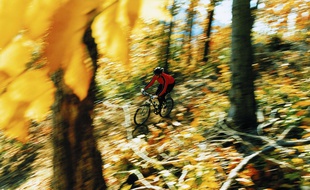 Photo d'illustration de VTT.