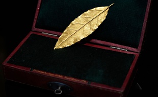 Une feille d'or de la couronne de Napoléon Ier a été mise aux enchères et vendue dimanche 19 novembre 2017 pour 625.000 euros.