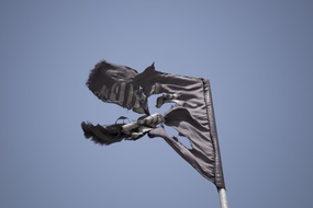 Un drapeau déchiré de l'Etat islamique (illustration).