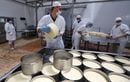 Que sait-on de la fromagerie Chavegrand mise en cause dans les 21 cas de listériose ?