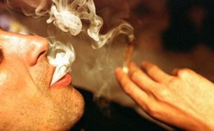 L'équipe de recherche de Pier Vincenzo Piazza, directeur du Neurocentre Magendie, est en train de mettre au point un traitement pour l'addiction au cannabis.