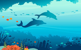 Illustration d'un fond océanique