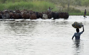 Des villageois au bord du lac Tchad le 11 mars 2015