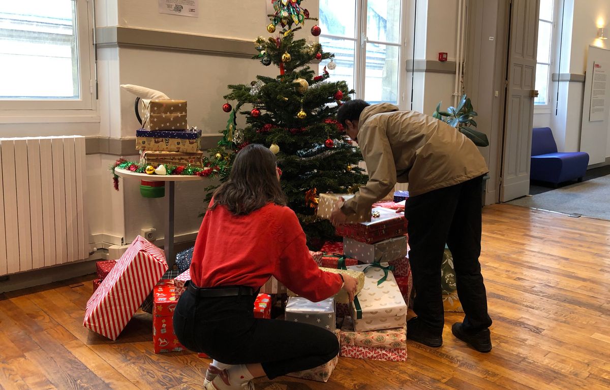 Quel est votre pire souvenir avec votre sapin de Noël ? image