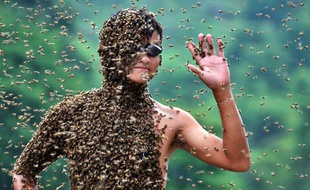 L'apiculteur chinois Lu Kongjiang se laisse recouvrir par 26kg d'abeilles lors d'un concours, le 17 juillet 2011.