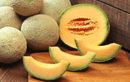 Ce geste miraculeux transforme un melon sans goût en fruit juteux et très parfumé à la maison
