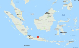 Des dizaines de nouvelles espèces ont été découvertes lors d'une expédition au large de l'île de Java.