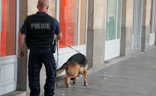 Illustration d'une patrouille de police en compagnie d'un chien anti-drogue à Rennes.