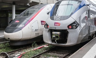 Deux trains stationnent en gare de Toulouse (Illustration).