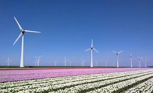 Les pales des éoliennes représentent un réel danger pour nombre d’espèces volantes