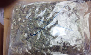 Un sachet d'herbe saisi par les douaniers du Perthus, le 29 avril 2015