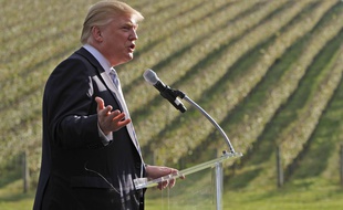 Donald Trump en octobre 2011, dans le vignoble qu'il venait de racheter dans l'Etat de Virginie.