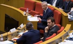 Christophe Castaner et Bruno Le Maire lors de l'audition au Sénat