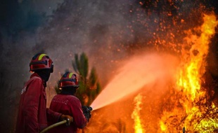 Des pompiers tentent de venir à bout des feux de forêts du Portugal, en 2013.