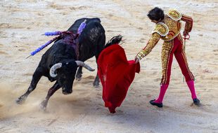 Une corrida à Nîmes (image d'illustration).