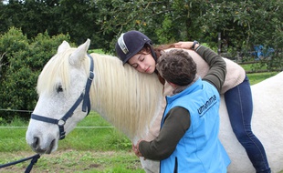 Plusieurs animaux sont mobilisés par l'association, comme des lapins, des chiens ou des chevaux.