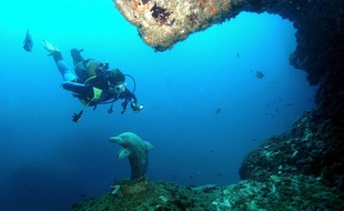 Les îles Medes, en Espagne, sont très prisées des amateurs de plongée. Ici, la Grotte du Dauphin.