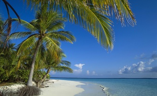 L'atoll Ari des Maldives. Image d'illustration.