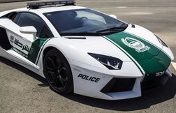 La police de Dubaï retrouve un diamant de 25 millions de dollars volé la veille