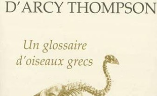 Un glossaire d'oiseaux grecs. Traduit et augmenté de commentaires dilettantes, d'anecdotes délectables prises à divers auteurs anciens et modernes, de remarques saisissantes et de propos inactuels sur la situation présente par Dominique Meens