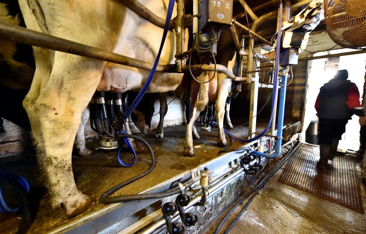 Bretagne : Le monde agricole cherche à mieux inclure les personnes en situation de handicap