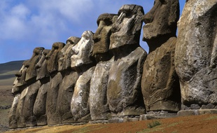 Les Moaï sont de géantes statues de pierre situées sur l'île de Pâques en Polynésie mais appartiennent au patrimoine chilien.