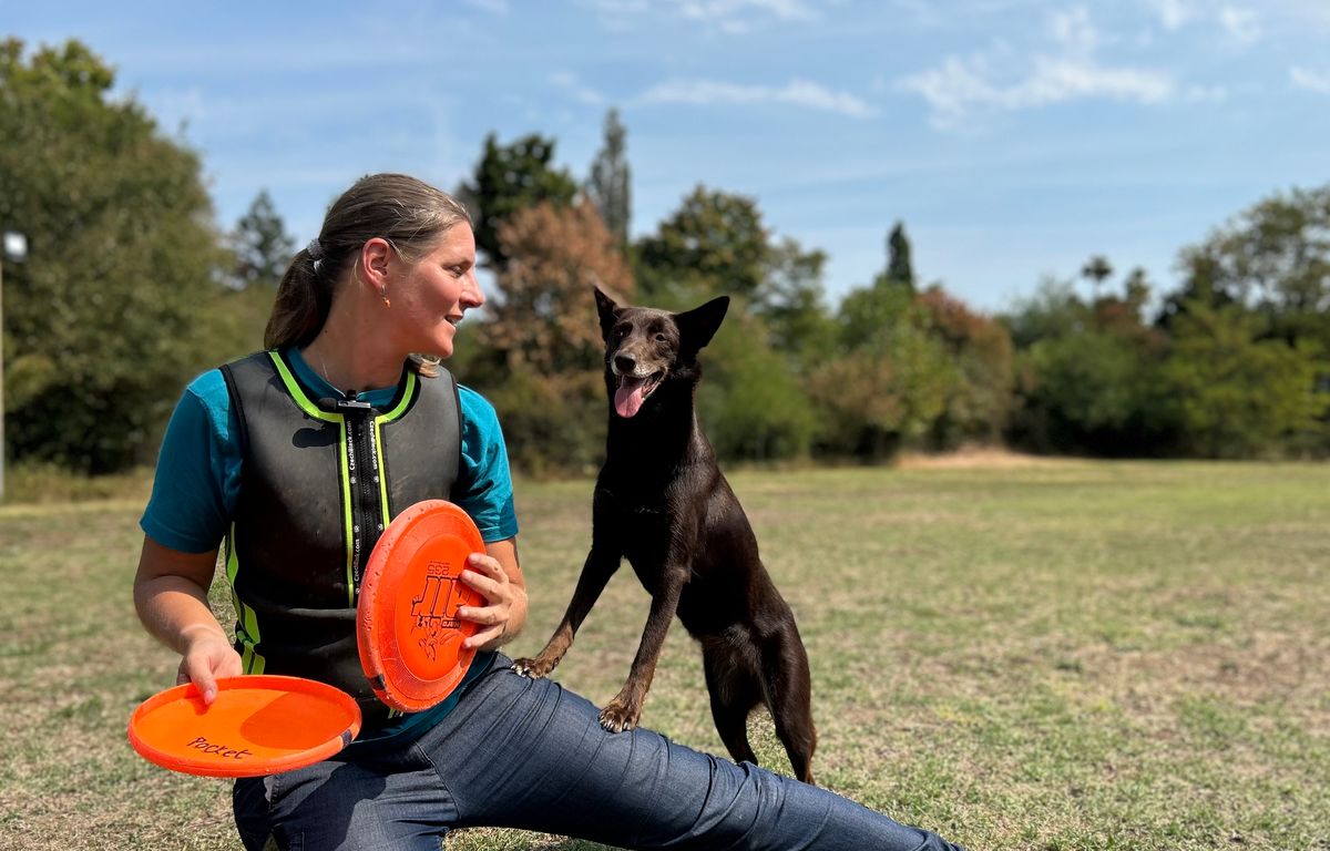 Vous connaissez le discdog ? On a suivi l'entraînement d'Anne-Laure et Pocket