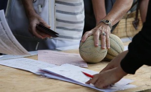 Les melons français atteignent seulement maintenant leur pic de production, en retard de 15 jours à un mois par rapport à d'habitude en raison de la météo capricieuse du printemps, ont indiqué jeudi les professionnels de la filière.
