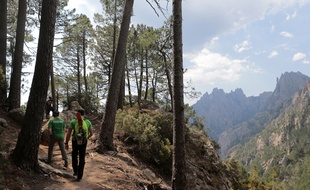 L'homme de 41 ans a disparu alors qu'il randonnait sur le GR 20 (illustration).