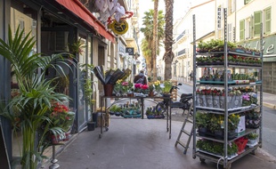 Dans les départements confinés, il sera toujours possible d'offrir des fleurs.