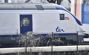 Un TER en gare (photo d'illustration).