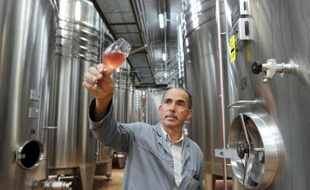 Le sommelier français Patrick Poupart regarde un verre de rosé à Vauchrétien le 11 août 2014