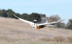 Un drone qui s’envole comme un oiseau