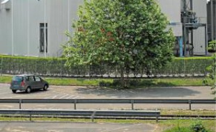 L'usine Stracel compte 260 salariés.