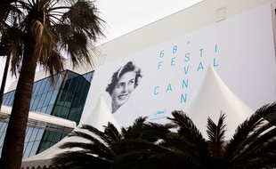 Illustration du 68e Festival de Cannes